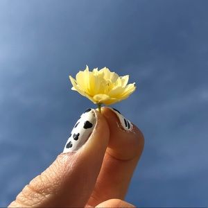 Meet your Posher, Nicole